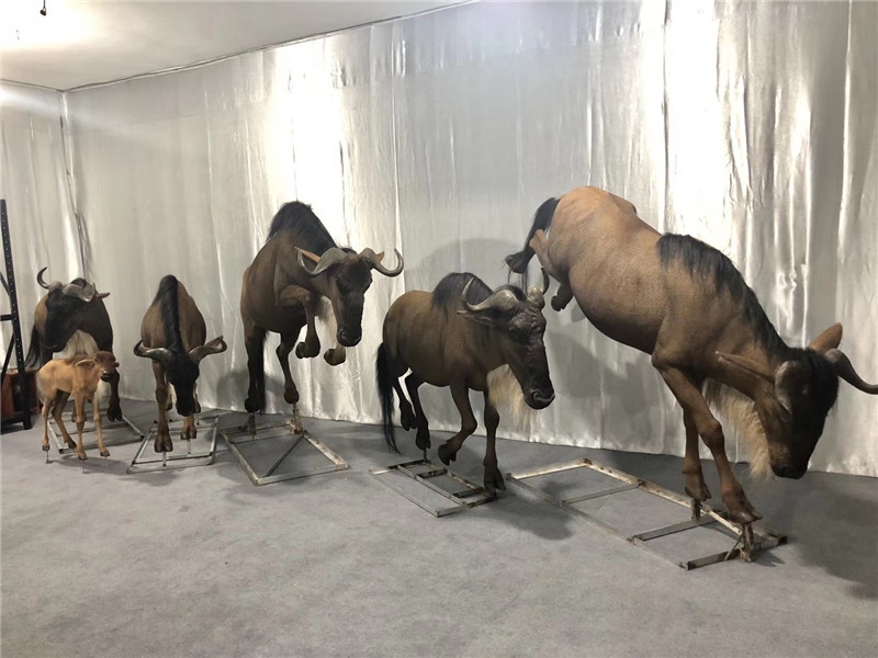 仿生仿真角马